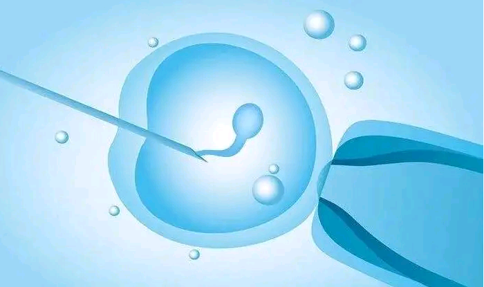 甘肃哪里代孕靠谱 2023甘肃省供卵机构排名，试管供卵助孕攻略参考 ‘胎囊数据