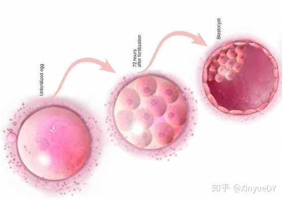 武汉民间供卵试管机构排名揭晓，2023前十人气生殖医院名单公布